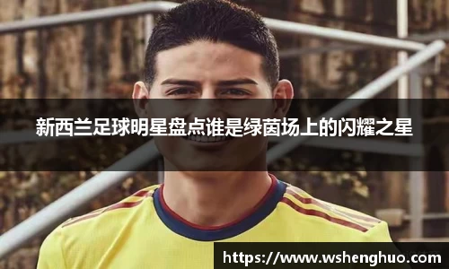 新西兰足球明星盘点谁是绿茵场上的闪耀之星
