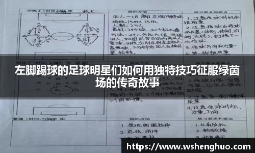 左脚踢球的足球明星们如何用独特技巧征服绿茵场的传奇故事